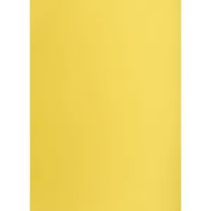 Brystol Creatinio gelb B1 gelb 225g 1k (400150264)