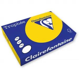 Trophee Farbpapier A4 - Sonnenblume 80g (xca41978)