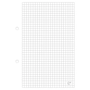 Interdruk Ringbucheinlage A5 100k (WKDOSEA5100)