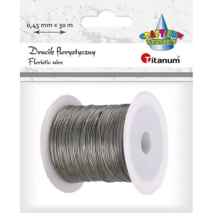 Titanum Craft-Fun Serie Blumendraht 0,45mm x 30m silber (PJ499)