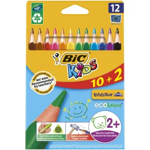 Bic Kids Ecolutions Evolution Triangle 12 Buntstifte (887146)