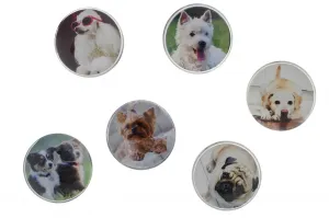 Fun&Joy DOG runder Magnet - Mix ø 30mm