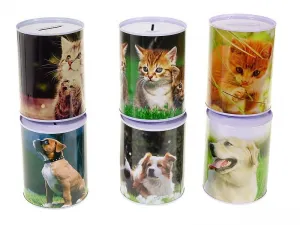 Spardose Adar Katzen und Hunde (560086)