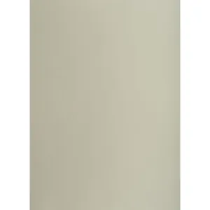 Brystol Creatinio Grau B1 Grau 225g 25k (400150254)