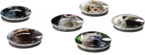 Fun&Joy DOG runder Magnet - Mix ø 30mm