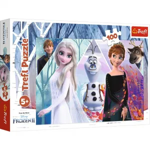 Puzzle Trefl Verzaubertes Land 100 el. (16418)