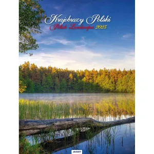 Avanti Landscapes Wandkalender 230mm x 305mm (5901769620001)