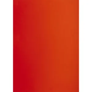 TOP-2000 Brystol A1 rot 160g 25k 610mm x 860mm (400149551)